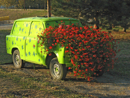 Bush of red flowers growing from green car's engineの写真素材