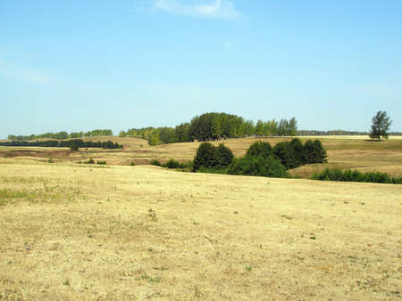 Hilly steppe in the summerの写真素材