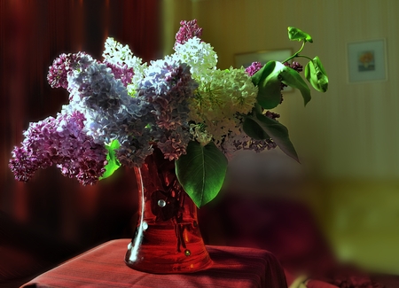 Bouquet of white and violet lilac in the room in the red vaseの写真素材