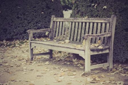 Wood bench in park, Paris, France の写真素材