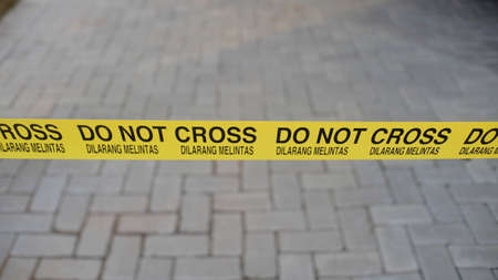 Yellow plastic borders to indicate no crossingの写真素材