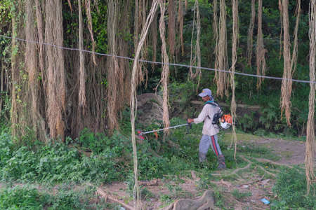Klaten, Indonesia, March 3, 2021. A worker uses a lawn mower to tidy up the bush that grows wild around the banyan tree.のeditorial素材