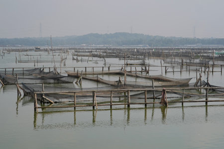 Nets built by fishermen in the Rowo Jombor reservoir for freshwater fish farming.の写真素材