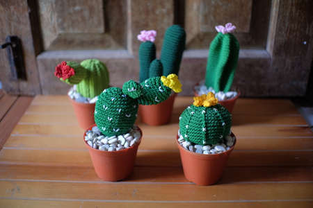 Small ornamental cactus plants made of knitting yarn, are cute and can be used as a complement to the home interiorの写真素材