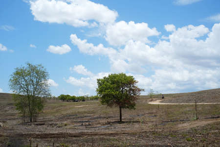 The grasslands of the Lolomogho Loura hill area mark the border on the Southwest Sumba crossing with West Sumbaの写真素材