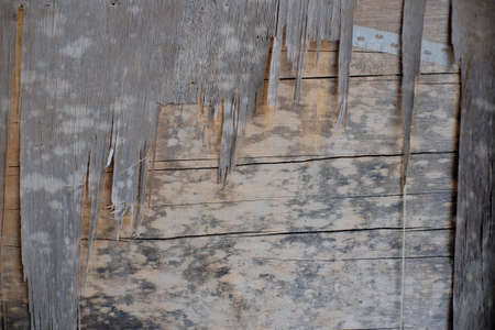 Plywood boards that peel with age and weather. Background for a gloomy designの写真素材