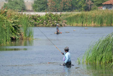 Semarang, Indonesia, 19 Sept 2020. Fishermen look for fish by being lured in a pool of sea water that enters the land that resembles a swamp on the north coast.のeditorial素材