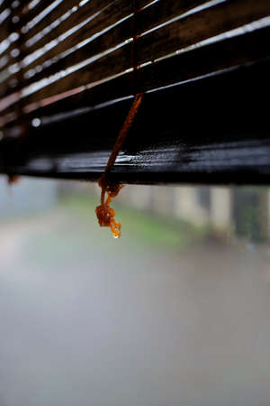 Water droplets at the end of the rope knot curtain retaining rain.の写真素材