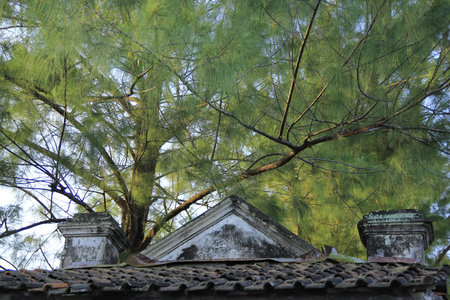 Klaten, Indonesia, July 17, 2013. The roof of an old gate building, behind which is a lush pine...