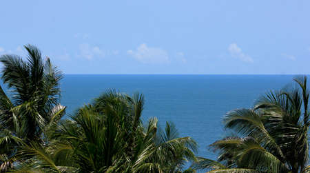 It is a blend of natural elements, blue skies, oceans and palm trees that wave in the wind on a clear day. A background that is both reconciling and passionateの写真素材