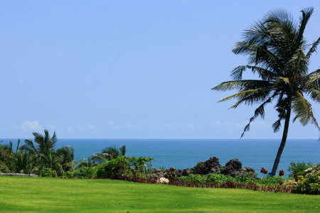 The green grass field by the beach with coconut trees on the right side, becomes a fresh sight even though the day is hot.の写真素材