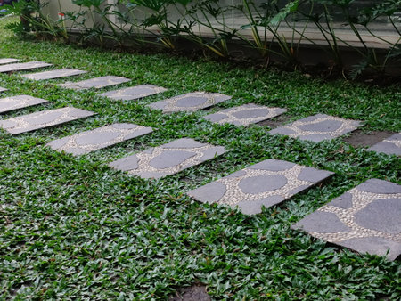 Pedestrian paths are provided so as not to step on the surrounding green grass.の写真素材