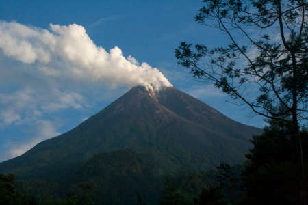 Bromo volcano in Java island, Indonesia. View from the forest.の写真素材