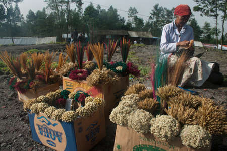 Yogyakarta, Indonesia, May 18, 2010. An old woman peddles souvenirs from plants in a tourist area on the slopes of Mount Merapi.のeditorial素材