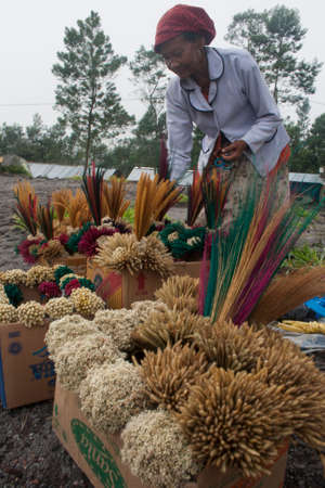 Yogyakarta, Indonesia, May 18, 2010. An old woman peddles souvenirs from plants in a tourist area on the slopes of Mount Merapi.のeditorial素材