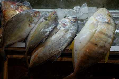 Fresh fish on ice in the supermarket. Fresh fish for sale.の写真素材