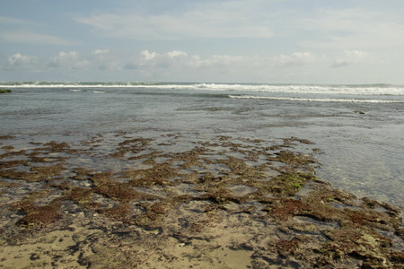 beach and sea in bali indonesia seascapeの写真素材