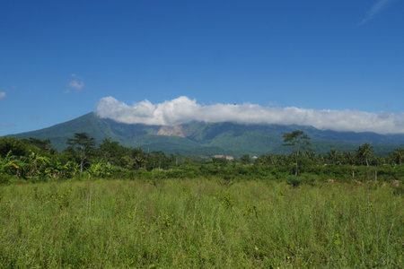 Landscape of a green meadow with a mountain in the backgroundの写真素材