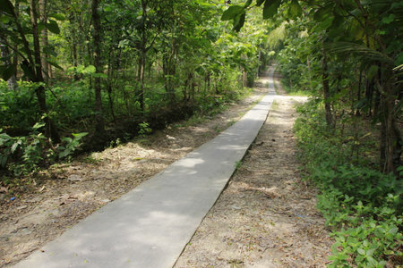 Perspective of a road in a village that has been smoothed with cement.の写真素材
