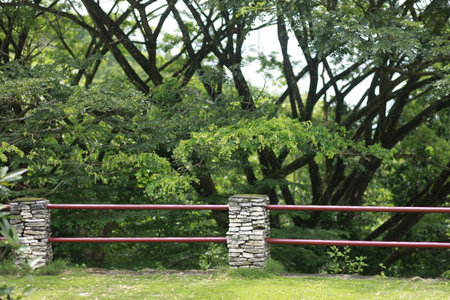 A fence in a lush green park with trees.の写真素材