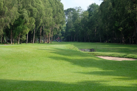Golf course, with neat and well-maintained green grass, surrounded by towering trees.の写真素材