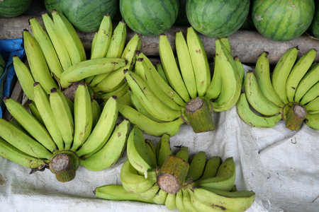 Five bunches of green bananas displayed at the seller's stallの写真素材