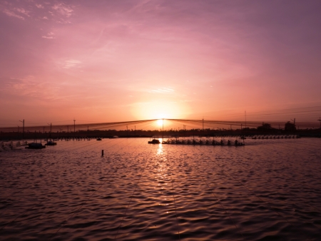In evening sunset time at shrimps pond  paddle wheel aerator are runningの写真素材