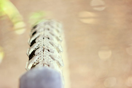 A Bicycle wheel with a toothy tire rolls along the road. The view from the top