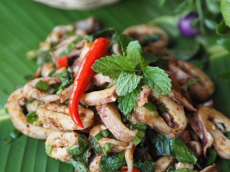 Thai salad - squid spicy salad with herbsの写真素材