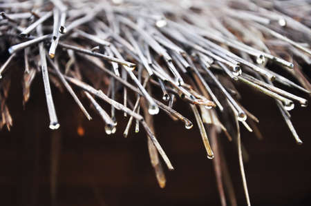 Rain droppedの写真素材