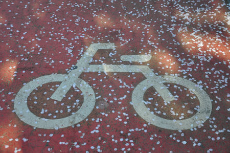 Bicycle lane sign
