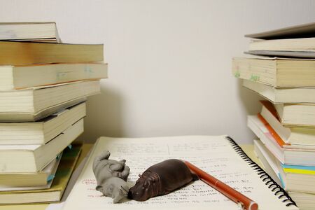 She is sleeping while studying.の写真素材