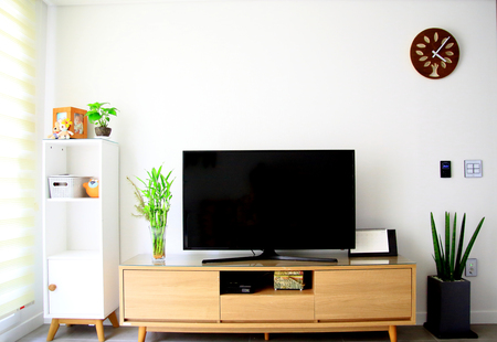 A house decorated with air purification plantsの写真素材