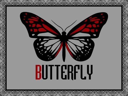 Realistic red butterfly in black elegant ornate frame on grey backgroundのイラスト素材