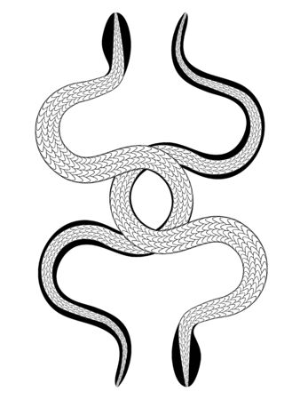 occult gothic print or tattoo illustration of two symmetric entwined snakesのイラスト素材