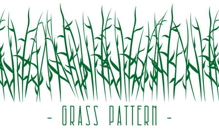 horizontal natural seamless pattern with green meadow or swamp grass stemsのイラスト素材