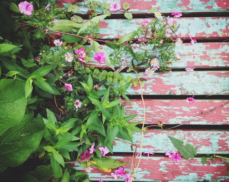 A bunch of field July flowers over wooden backgroundの素材