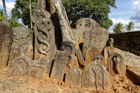 Images of snakes (Cobra)Snake god carved on in the stone plates  in the complex of Arasikere Chandramouleswara Temple at District Hassan State Karnataka India November 2009のeditorial素材