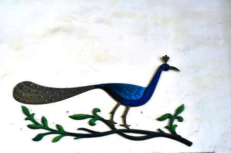 Painted peacock on wall in Scindia museum of Jaivilas palace at Gwalior state Madhya Pradesh India 03/11/2010のeditorial素材