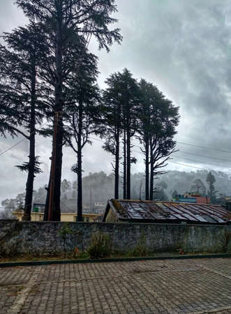 Stormy weatherat at Himalayan hill station Gwaldam state Uttarakhand India 03 14 2020のeditorial素材
