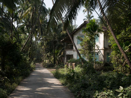 Tiled roof House sarrounded by Palm trees at Revdanda near Alibag state Maharashtra India 01 27 2022のeditorial素材