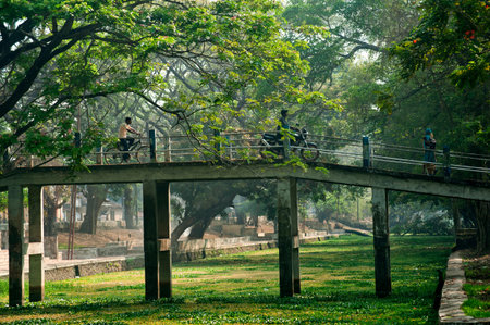 Bridge to cross canal at Alappuzha state Kerala India 02 01 2010