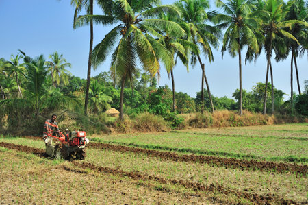 Farmer ploughing field with the help of power tiller at village Achara district Sindhudurga state Maharashtra India 11 07 2011のeditorial素材