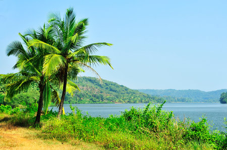 Beautiful creek view at village Achara district Sindhudurga state Maharshtra India 11 07 2011の写真素材