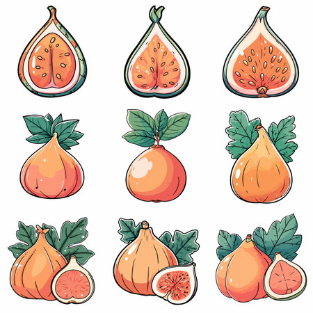 A complete illustration of a Indian Fig, cartoon kawaii style. Simplified silhouette shape, Same style as style reference, thick continuous vector outlines, clean stroke, high contrast, simple flat colors, large solid uniform color blocks, white background. Single character centered.のイラスト素材