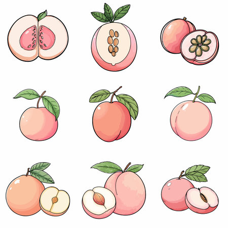 A complete illustration of a June Plum, cartoon kawaii style. Simplified silhouette shape, Same style as style reference, thick continuous vector outlines, clean stroke, high contrast, simple flat colors, large solid uniform color blocks, white background. Single character centered.のイラスト素材
