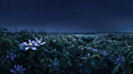 A panoramic wide view of Clematis field growing closely together under a clear night sky starlight illuminating leaves soft shadows calm natural atmosphere ultra realistic photography cinematic wide composition lifelike natural sceneの写真素材