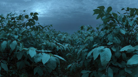 A panoramic wide view of Catalpa field growing closely together under moonlight silver glow on leaves serene calm atmosphere ultra realistic photography cinematic wide composition lifelike natural sceneの写真素材