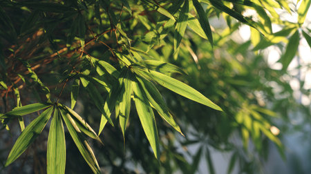 The Bamboo palm in spring, fresh green leaves, soft sunlight filtering, vibrant atmosphere full of vitality, natural textures, serene mood.の写真素材
