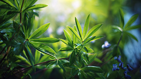 The Larkspur in spring, fresh green leaves, soft sunlight filtering, vibrant atmosphere full of...